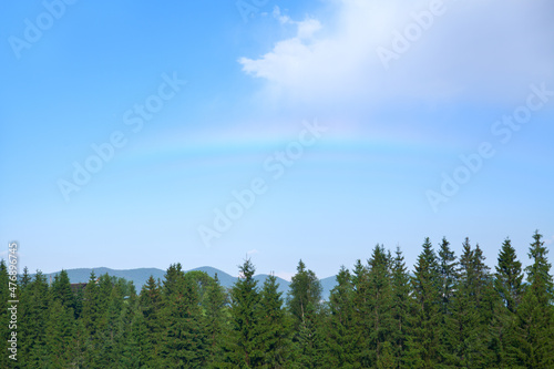 Rainbow above spruce forest and mountain range.