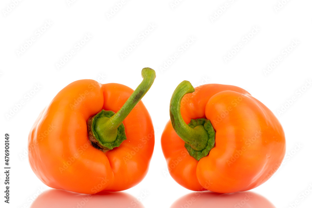 Two ripe orange sweet peppers, close-up, isolated on white. Two ripe orange sweet peppers, close-up, isolated on white.