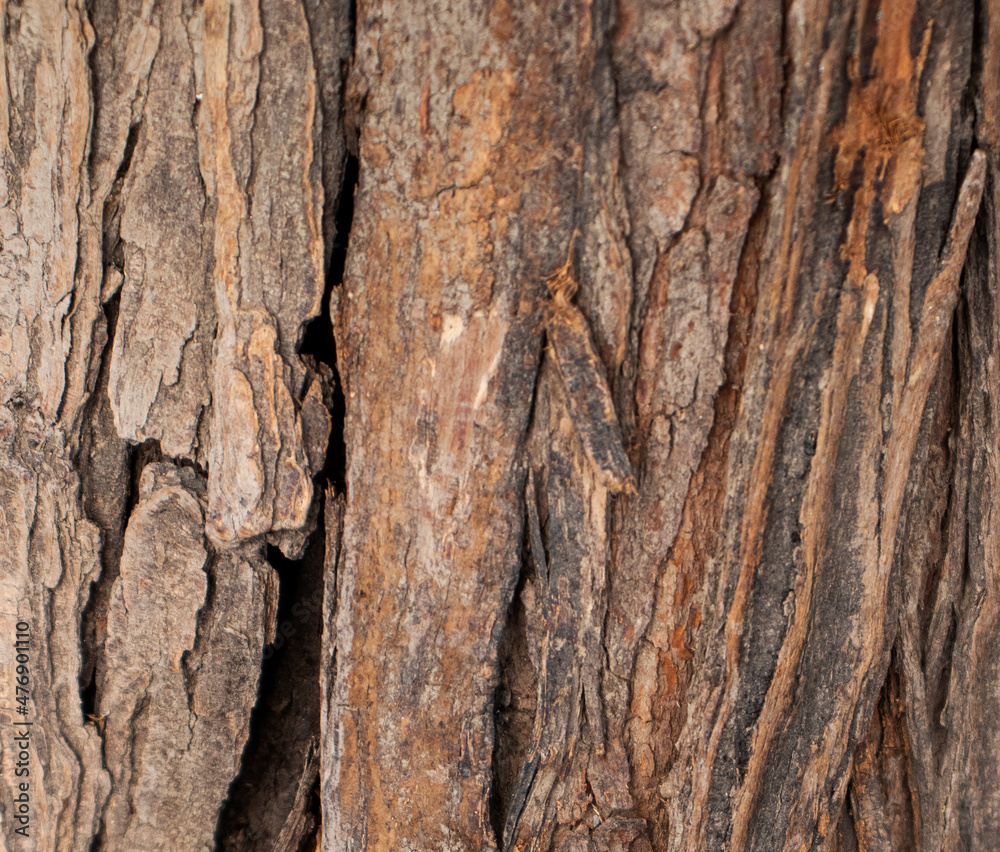 closeup new wood texture background closeup new wood texture background