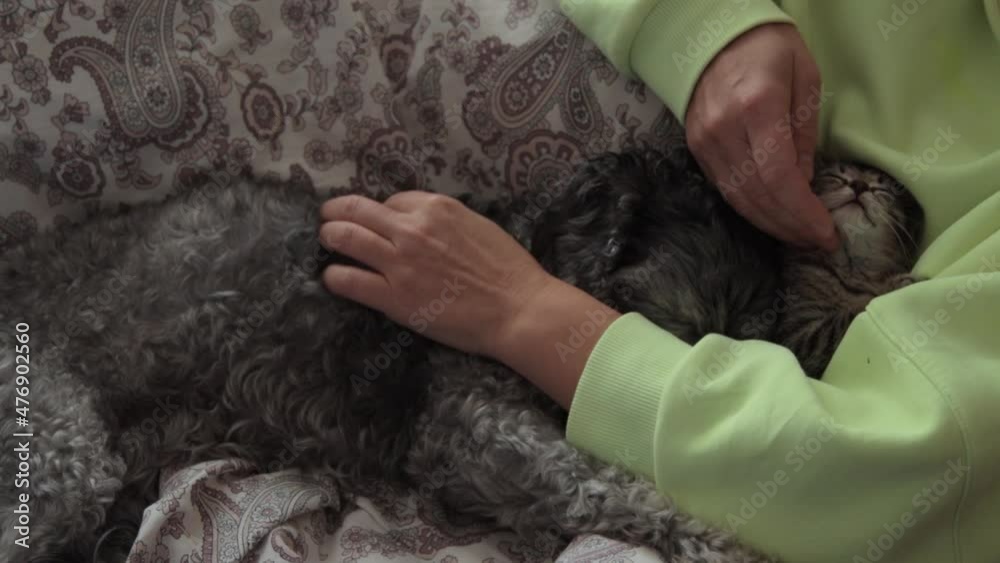 A woman together with her pets A woman together with her pets