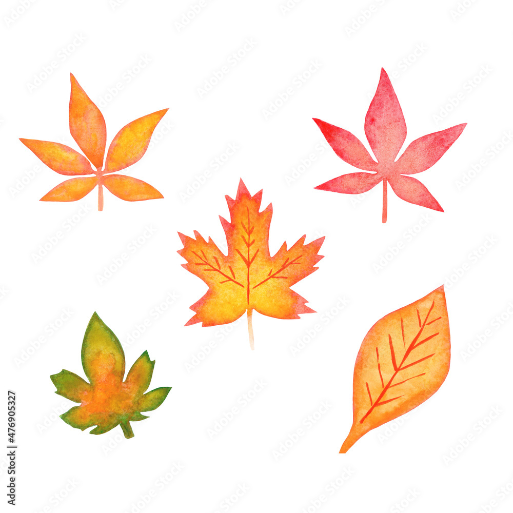 Bright red-orange beautiful autumn leaves of maple, poplar trees. Hand drawn watercolor illustration isolated on white background.
Bright red-orange beautiful autumn leaves of maple, poplar trees. Hand drawn watercolor illustration isolated on white background.