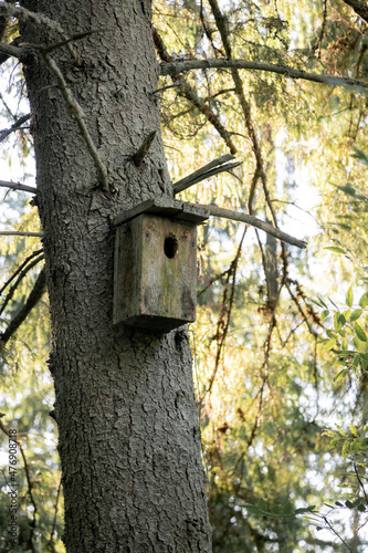 An old wooden birdhouse on a tree.