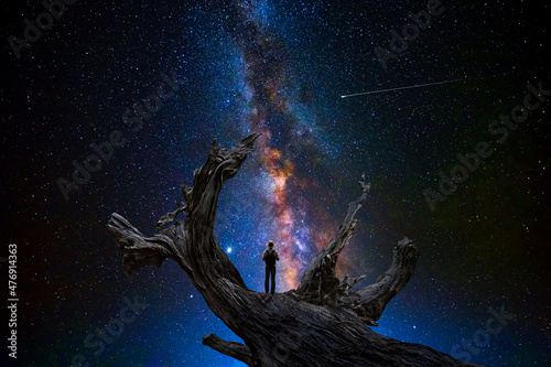 Man observes the universe on the dry trunk of a large tree