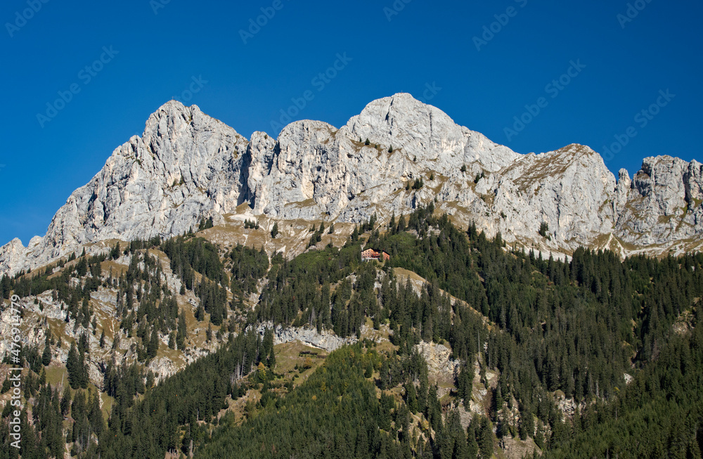 Fototapeta premium Alpiner Bergblick im morgendlichen Licht an einem sonnigen Tag im Sommer im Tannheimer Tal in Tirol, Österreich