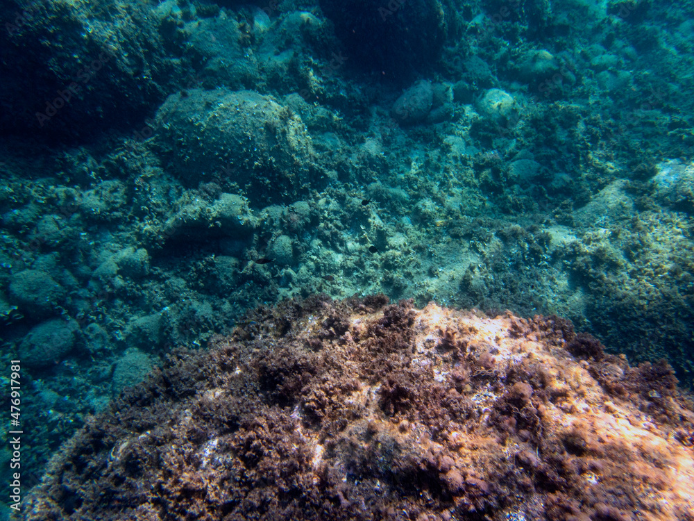 Fototapeta premium Fondale marino Litorale dei ciclopi Acicastello 19