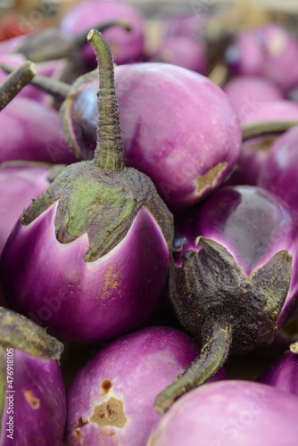 Vegetable eggplants from market