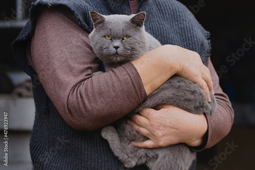 The woman carefully holds a cat with yellow eyes in her hands. The pet is sitting on his hands.