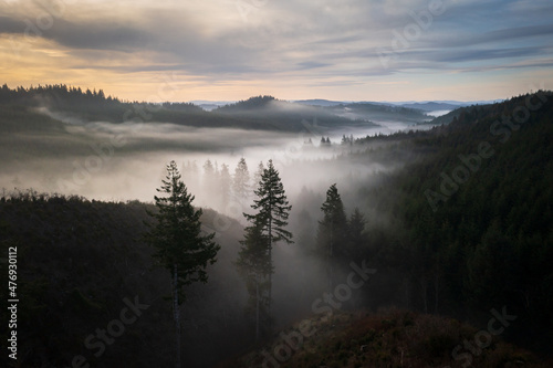 Foggy forest landscape in Oregon at sunrise