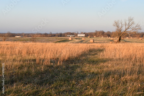 Sunny Farm Hay Field