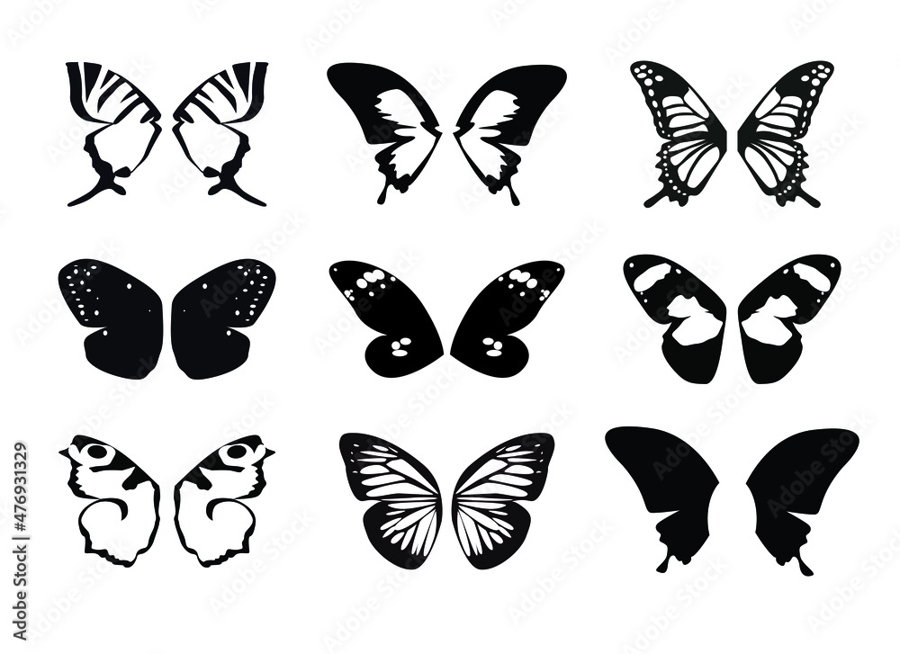Set Butterfly Wings. Vector Illustration. Stock Vector Adobe Stock