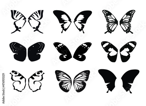 Set Butterfly Wings. Vector Illustration.