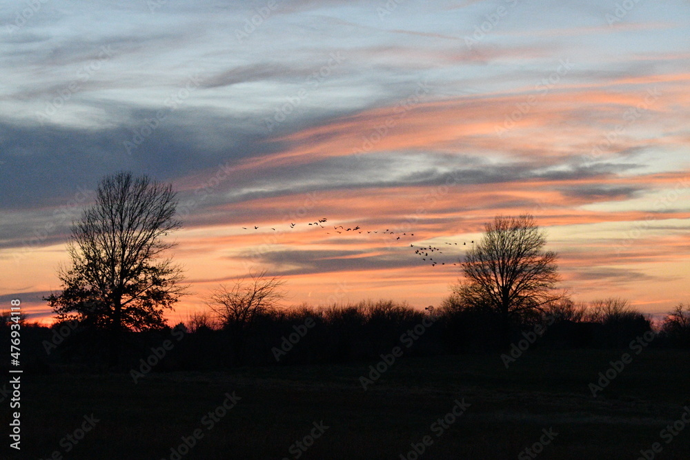 Colorful Sunset Over a Field