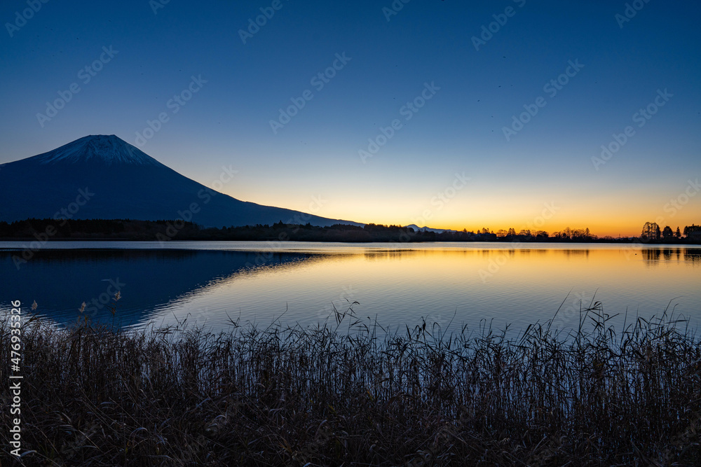 初冬の富士山 田貫湖にて