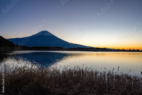 初冬の富士山 田貫湖にて