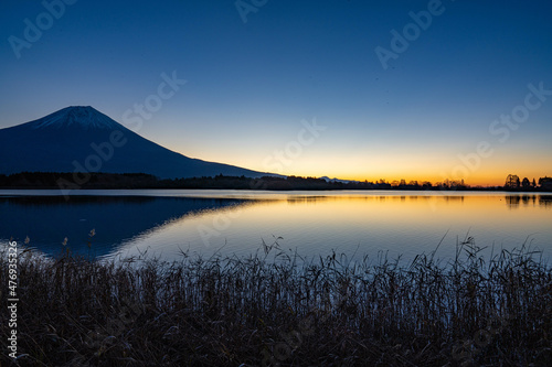 初冬の富士山 田貫湖にて