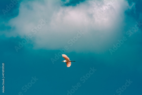 Sky Has no limits