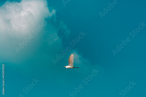 Sky Has no limits