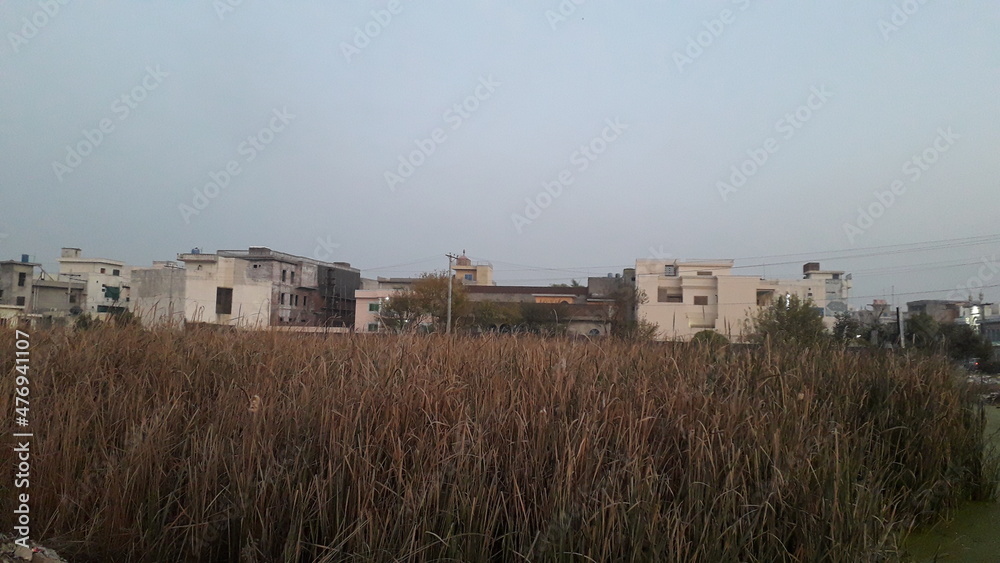 view of the village in region, outdoor nature view in evening view of the village in region, outdoor nature view in evening