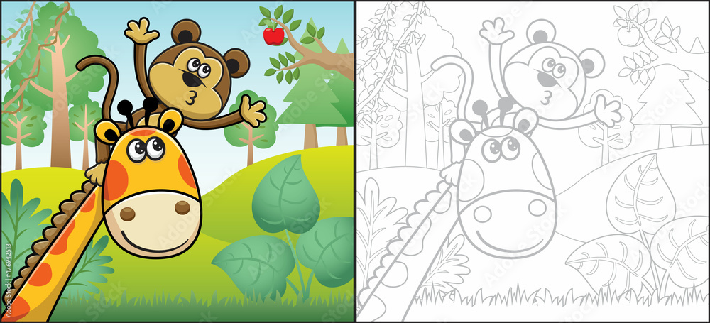 Fototapeta premium Cartoon of monkey climb giraffe's neck trying to pick fruit. Coloring book or page