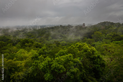 Panorama of Tikal National Park © Pavel
