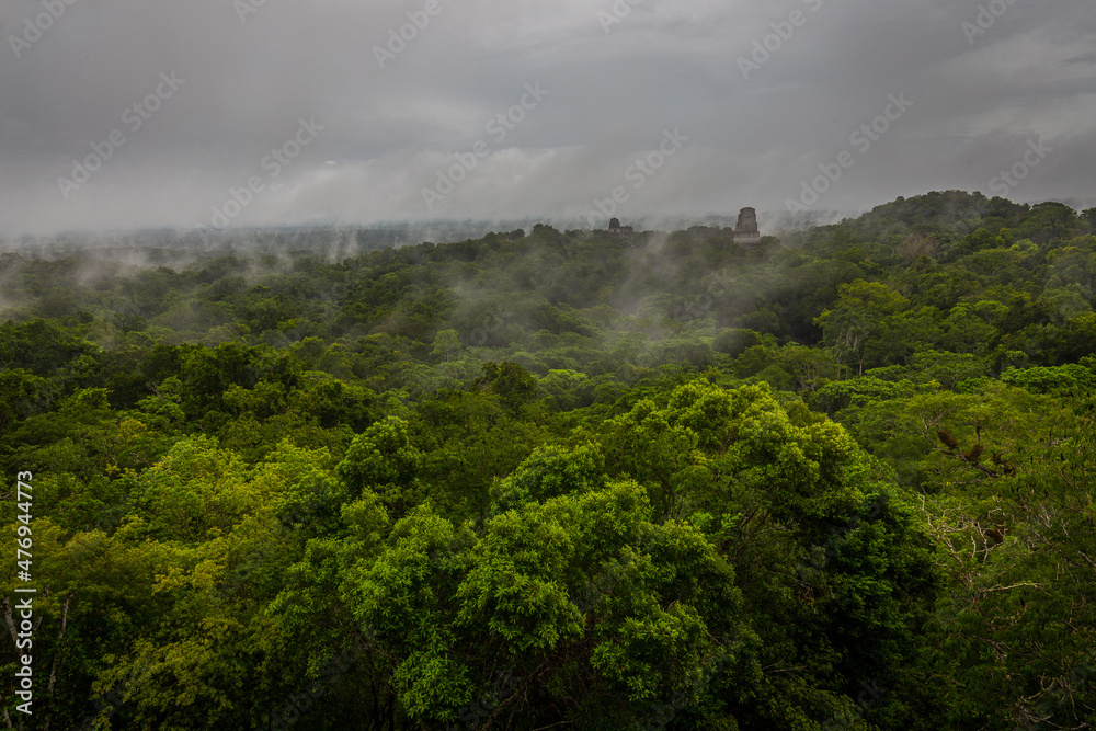 Fototapeta premium Panorama of Tikal National Park
