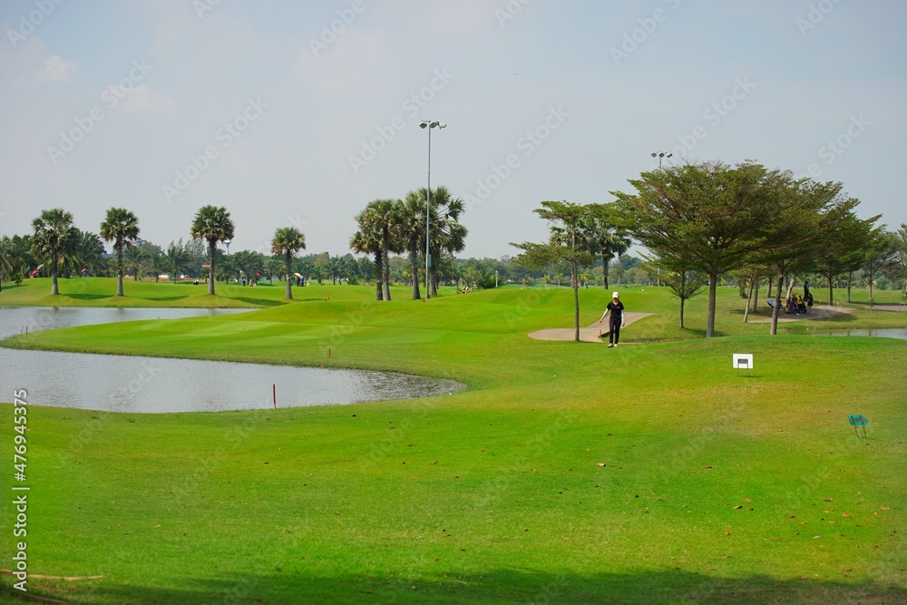 Obraz premium golf course in the morning