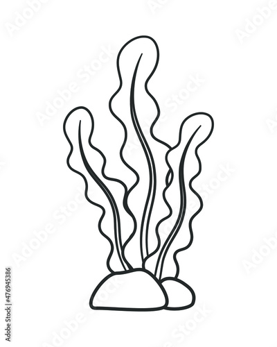 Underwater seaweed outline vector illustration clipart