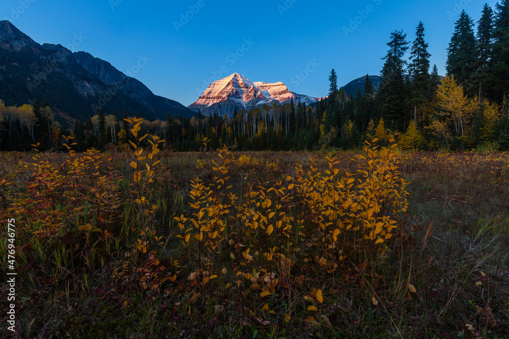 Fototapeta premium Mount Robson sunset in autumn