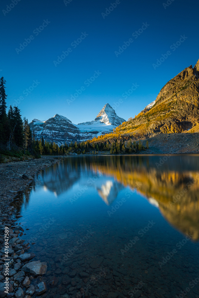 Reflection of Mount Assiniboine at sunrise during larch season