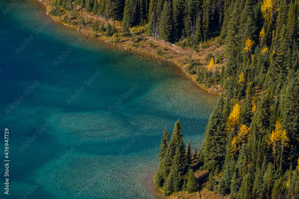 Aerial shot of coniferous and deciduous forest in autumn colors near a lake. Seasons changing, concept, textured background.