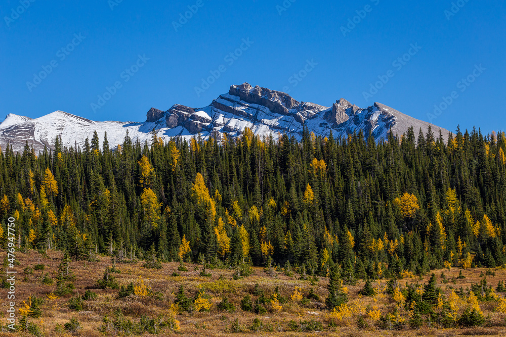 Fototapeta premium Mountain rising above coniferous and deciduous forest in autumn colors. Seasons changing, concept, textured background.