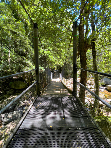 Suspension bridge in Minnamurra rainforest national park, New South Wales Australia photo