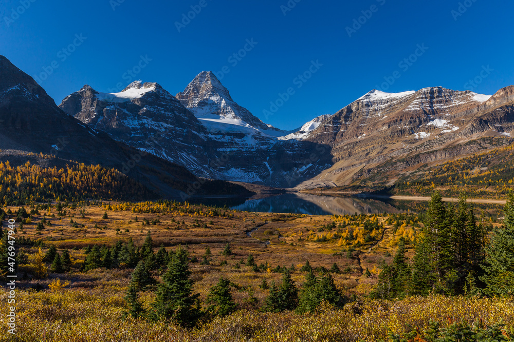 Mount Assiniboine and lake Magog afternoon in larch season