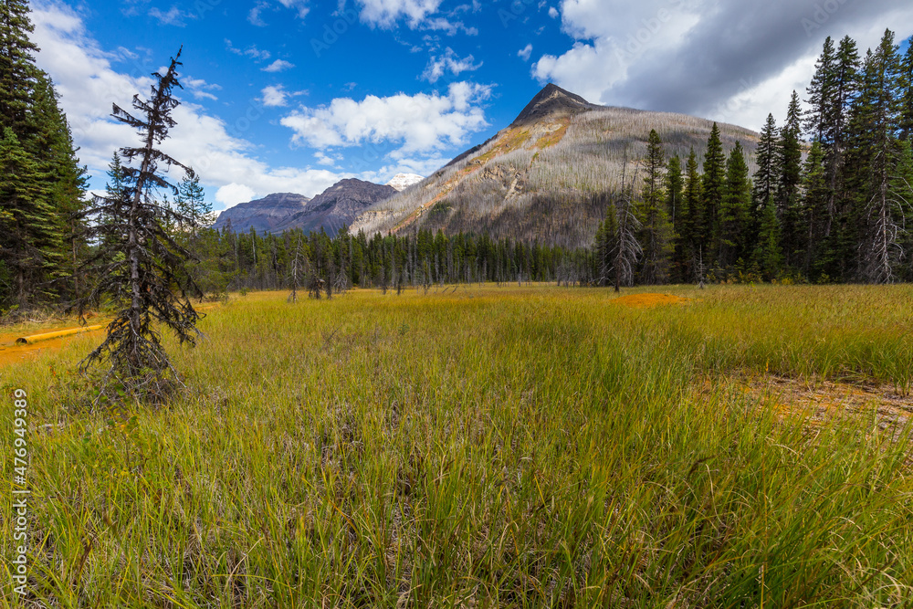 Fototapeta premium Paint Pots, Kootenay National Park, British Columbia, Canada