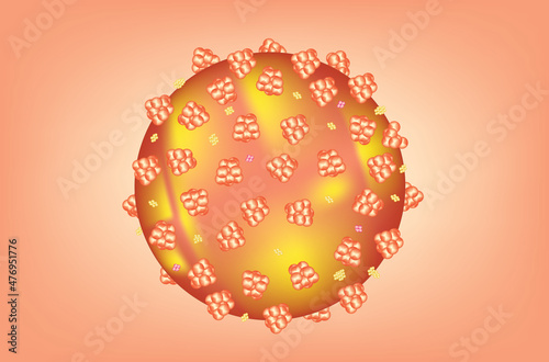 spherical virus with protein envelope photo