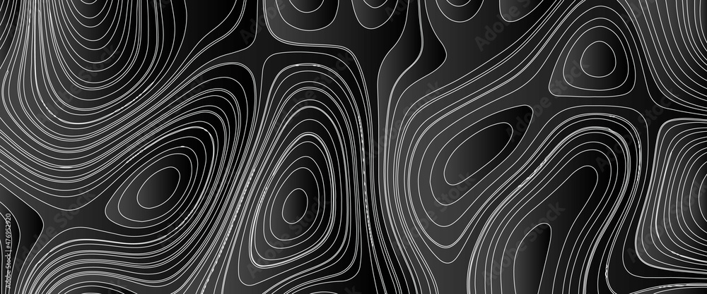 Luxury black abstract line art background vector. wallpaper design for fabric , packaging , web, geographic grid map vector illustration.