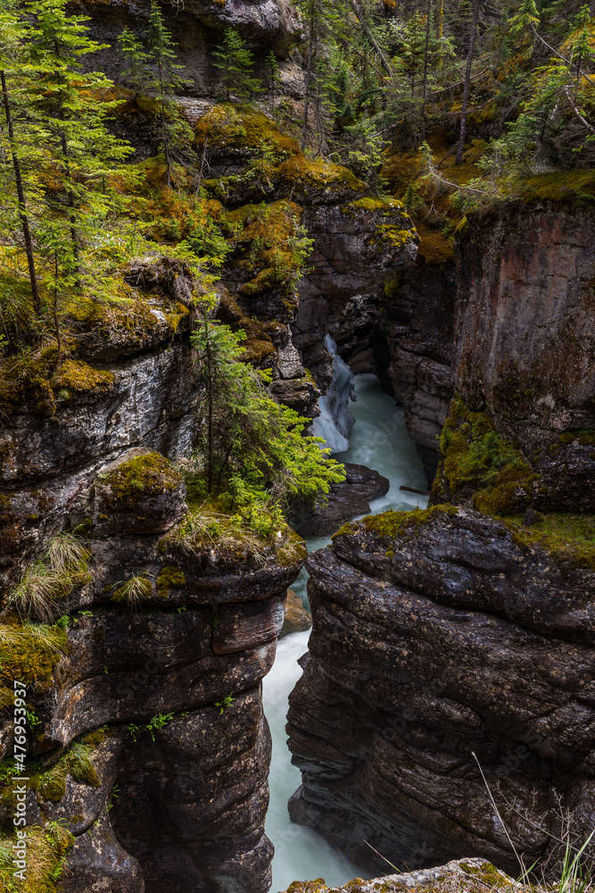 The Maligne River as it flows through the deep gorges of the Maligne Canyon in Jasper National Park in Alberta Canada The Maligne River as it flows through the deep gorges of the Maligne Canyon in Jasper National Park in Alberta Canada