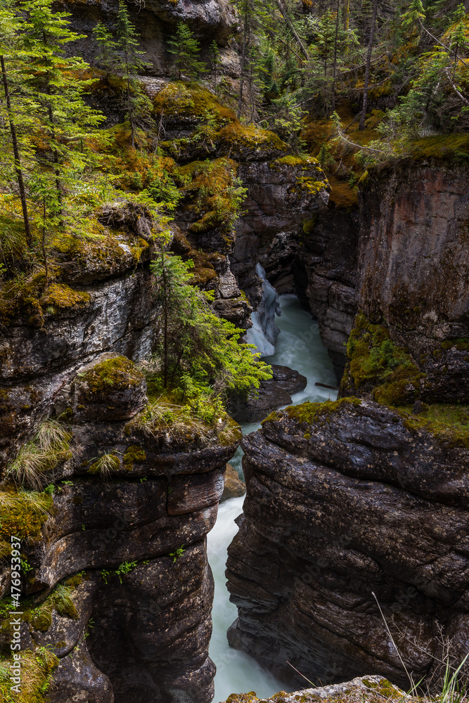 The Maligne River as it flows through the deep gorges of the Maligne Canyon in Jasper National Park in Alberta Canada