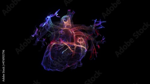 Human Circulatory System Heart Beat Anatomy Animation Concept.Motion animation of human heart. Digital technology visualization of 3d. photo