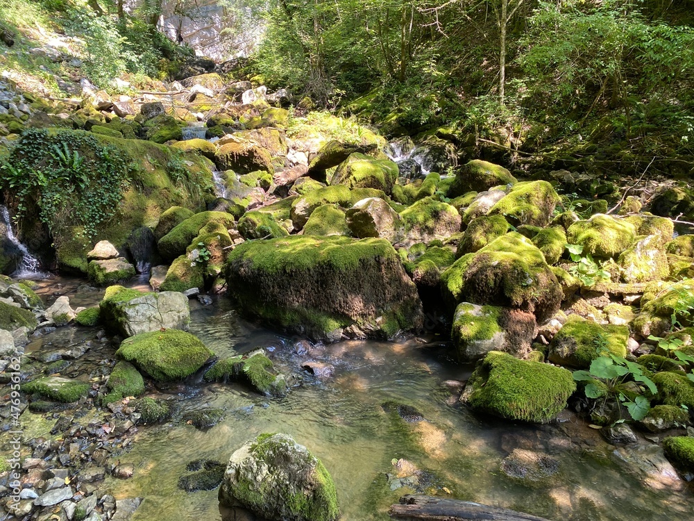 Small mountain river Gerovčica, Zamost - Region of Gorski kotar, Croatia (Mala gorska rijeka Gerovčica ili goranska rječica Gerovčica, Zamost - Gorski kotar, Hrvatska) Small mountain river Gerovčica, Zamost - Region of Gorski kotar, Croatia (Mala gorska rijeka Gerovčica ili goranska rječica Gerovčica, Zamost - Gorski kotar, Hrvatska)