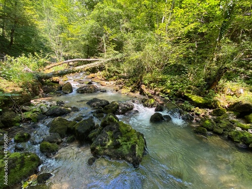Small mountain river Gerovčica, Zamost - Region of Gorski kotar, Croatia (Mala gorska rijeka Gerovčica ili goranska rječica Gerovčica, Zamost - Gorski kotar, Hrvatska)
