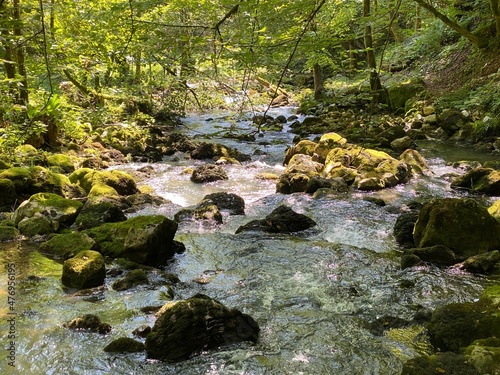 Small mountain river Gerovčica, Zamost - Region of Gorski kotar, Croatia (Mala gorska rijeka Gerovčica ili goranska rječica Gerovčica, Zamost - Gorski kotar, Hrvatska)