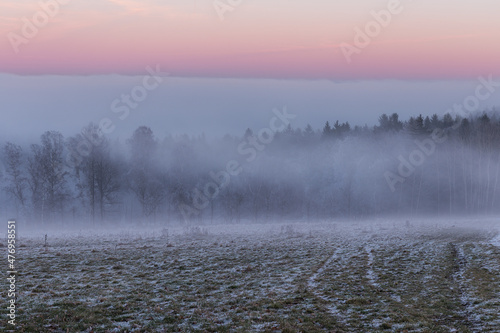 Frozen fields and woods overlooking Ore Mountains