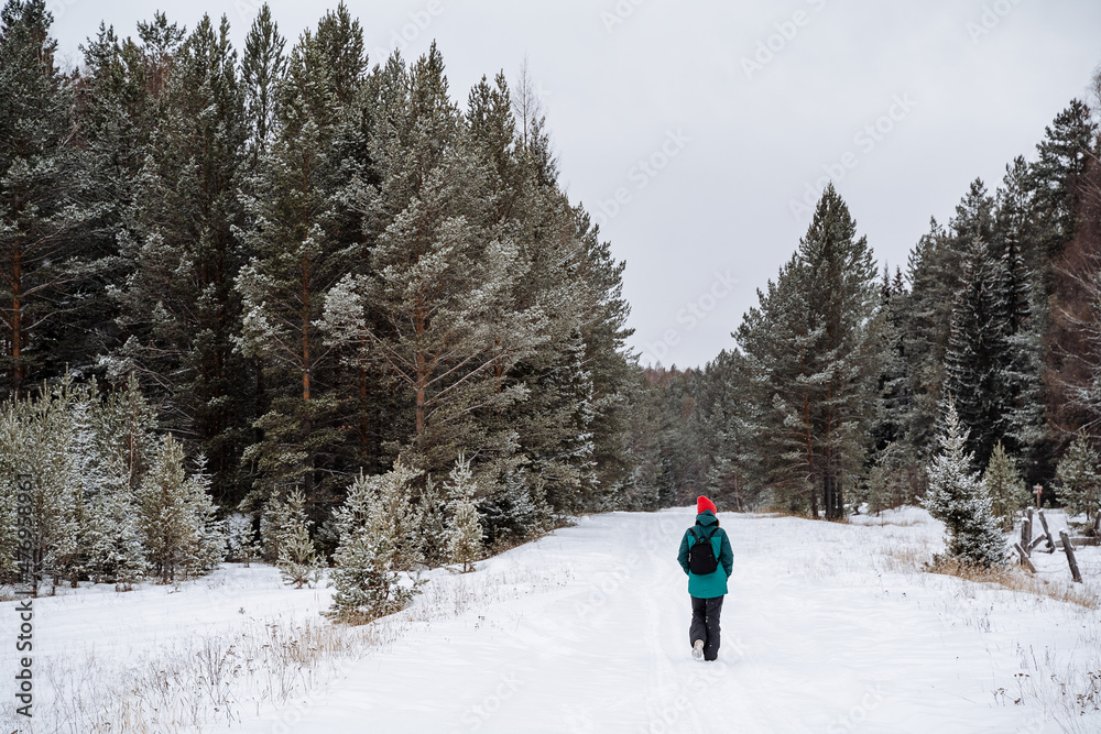 a man walking in the winter forest. Survival in the wild. Snow-covered forests. Walking in the winter season. Bright winter equipment