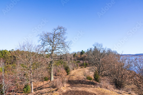 View at a woodland trail on a ridge in the spring