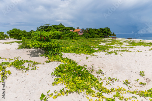 Beach with flowers, Turtle Island, Borneo photo