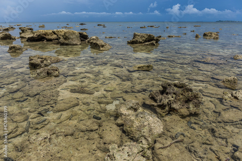 Sea bed in low tide with coral, Borneo photo