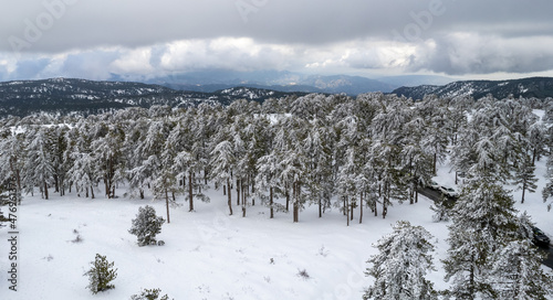 Drone aerial scenery of mountain snowy forest landscape covered in snow. Wintertime photograph