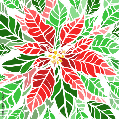 Poinsettia flower. Vector illustration of a traditional Christmas flower.
