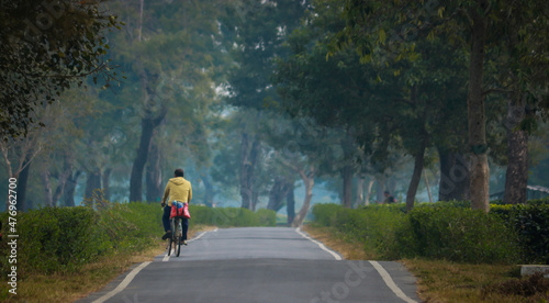 Wallpaper Mural  A man going for his daily work by a cycle in the trees. Torontodigital.ca
